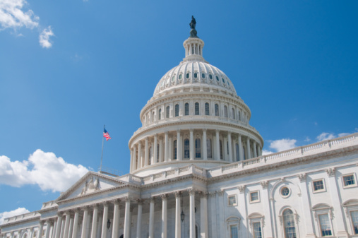 US Capitol Building- Washington D.C.