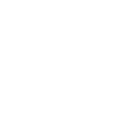 Government Entities