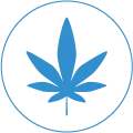 Cannabis